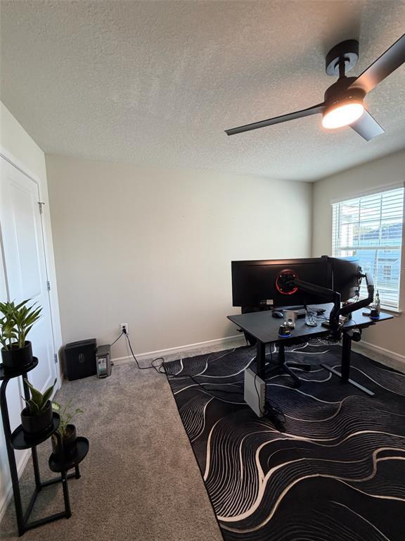 Building Photo - 2834 Bright Bird Ln