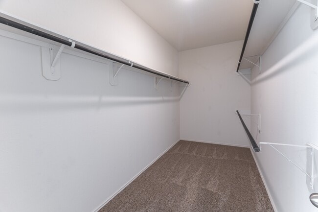 Building Photo - 138 Meadow Grove Dr