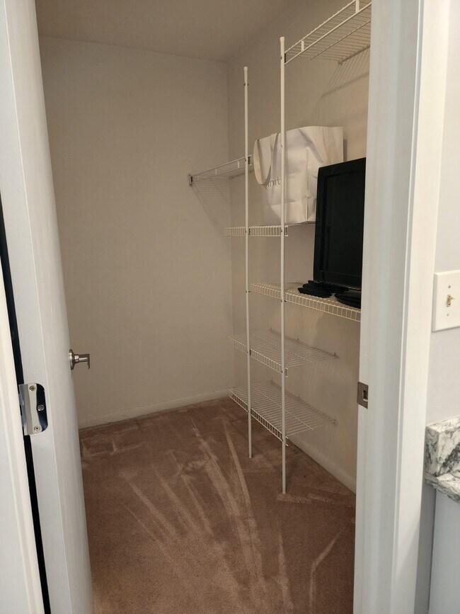Master walk-in closet - 13121 Burningtree Ave