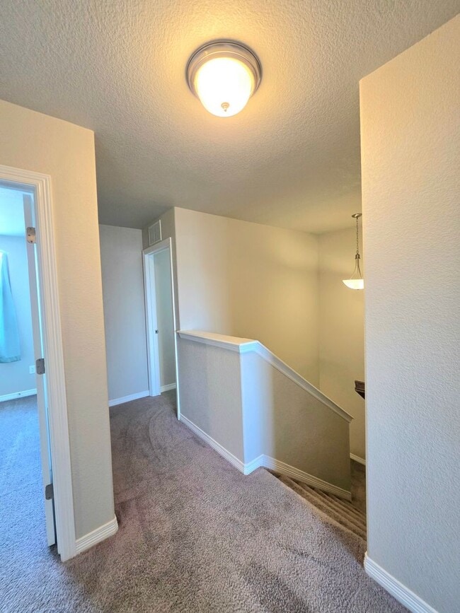 Building Photo - Beautiful 4 Bedroom Home in Peyton