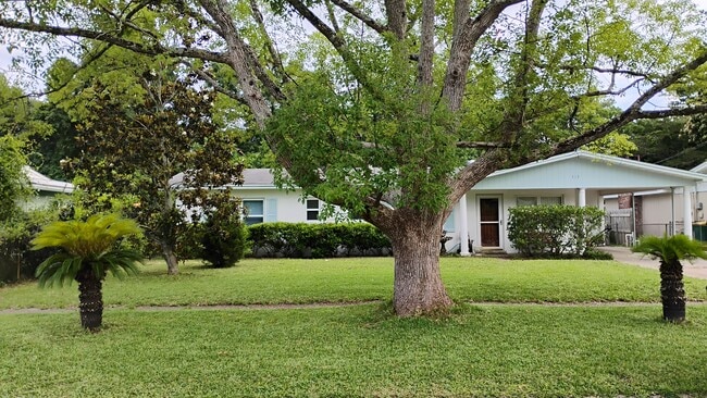 Building Photo - 513 Pelham St