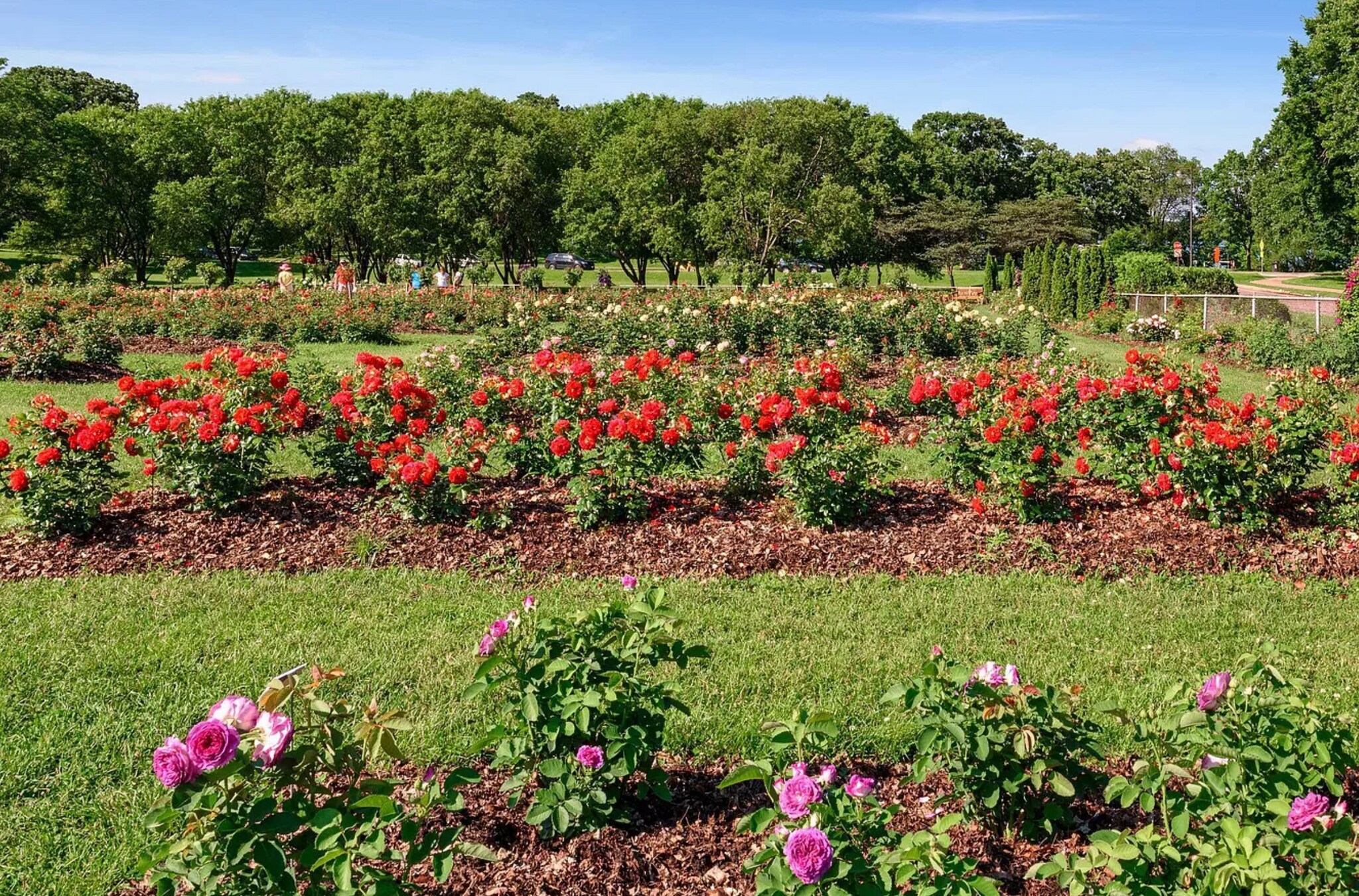 Building Photo - 3532 Humboldt Ave S