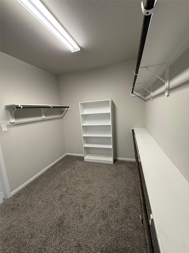 Building Photo - 2826 Saw Palmetto Trail