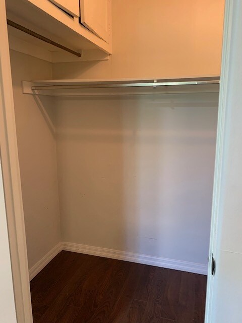 Master Closet - 251 N Almont Dr