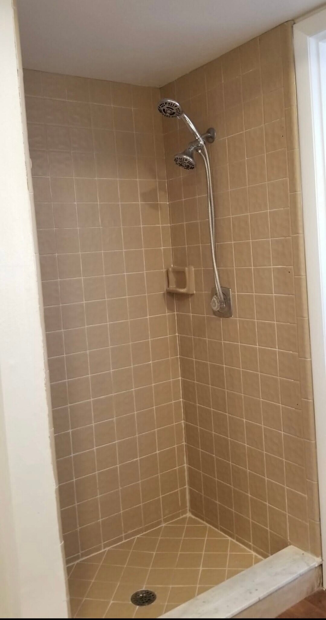 Primary shower - 10548 86th Ave