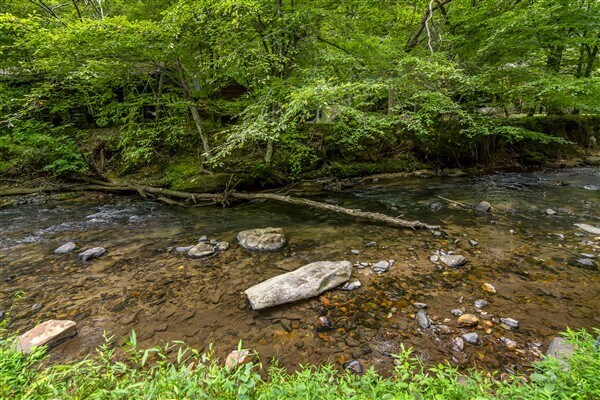 Building Photo - 1519 Tipton Springs Rd