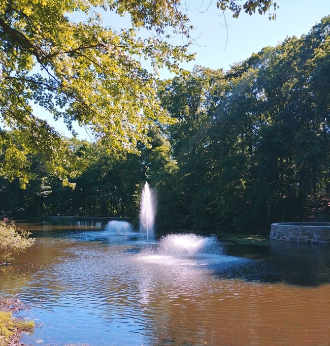 Building Photo - 50 Aiken St