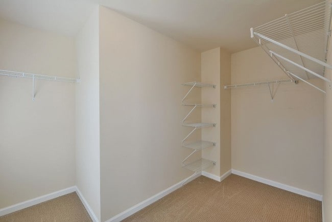 Building Photo - 1023 Nightfall Ct NW