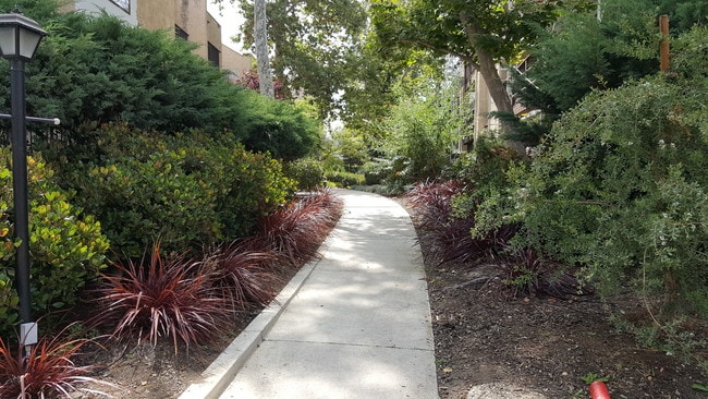 Building Photo - 12111 Summertime Ln