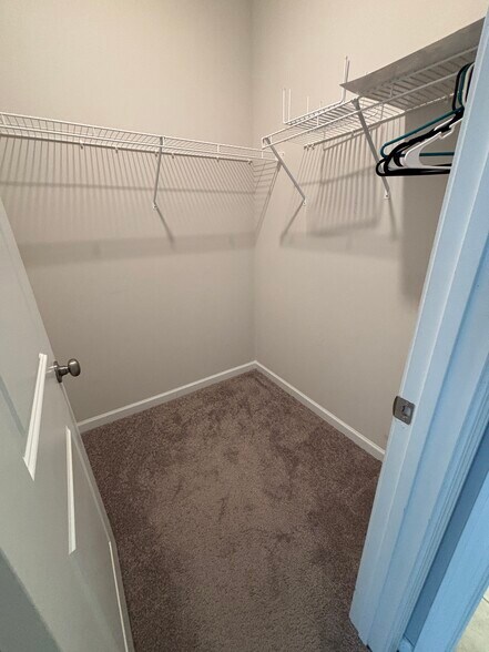 Bedroom 3 Closet - 719 Saffron Blvd
