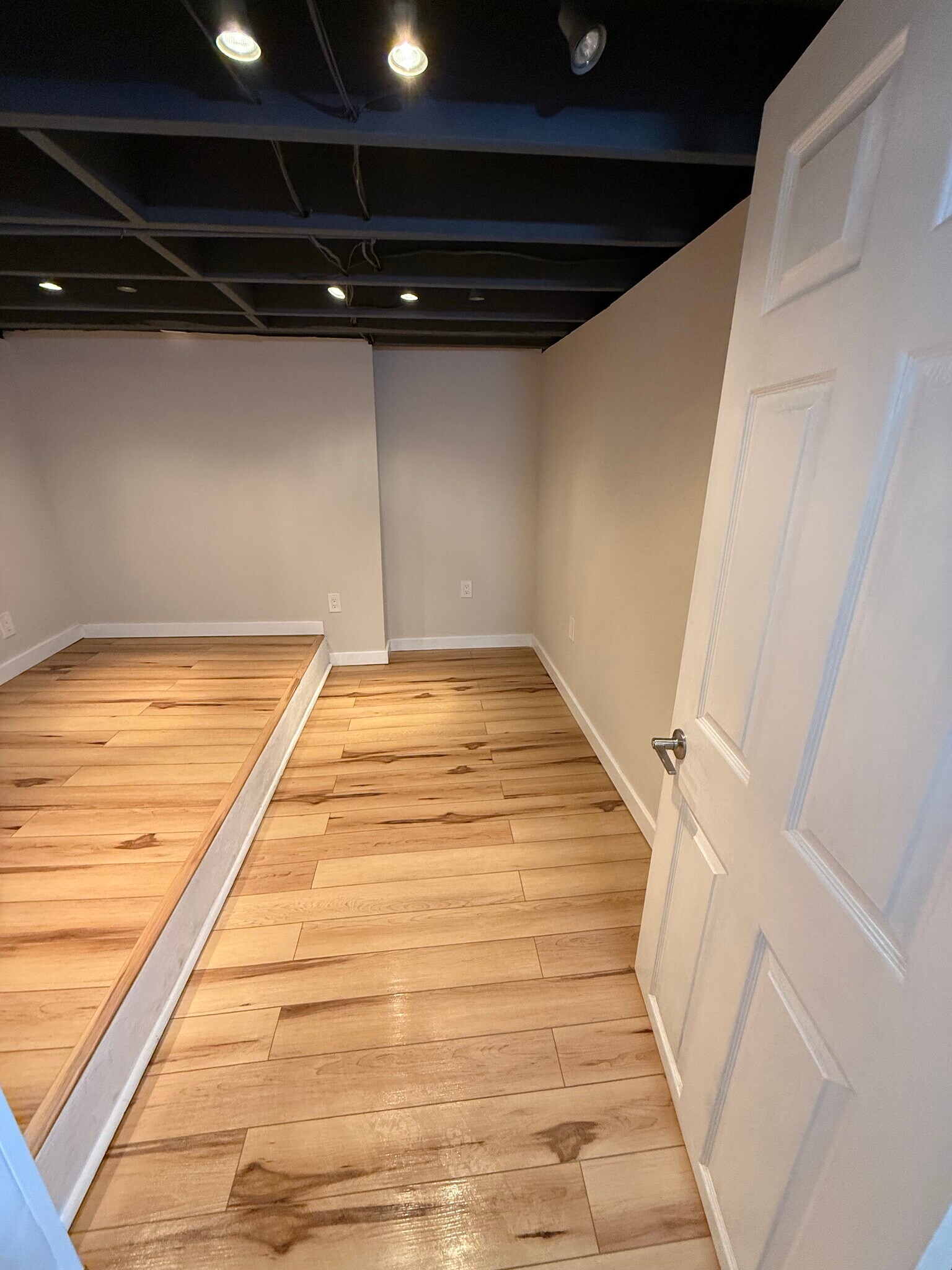 Basement area - 1617 Olive St