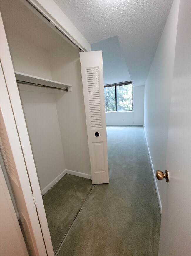 Closet - 3709 S George Mason Dr