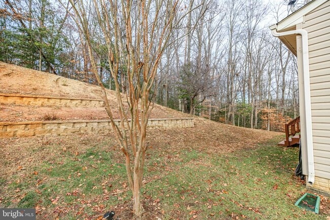 Building Photo - 71 Bismark Dr