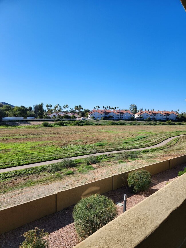 Building Photo - 2 Bedroom 2 Bath Condo located in PV