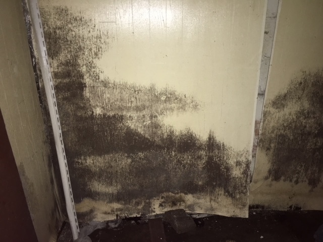 Building Photo - NOT FOR RENT Owner Finance No Credit Check Loan