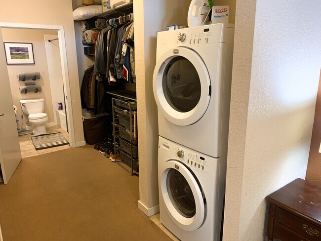 Spacious walk through closet and in-unit washer/dryer. - 3101 Blake St