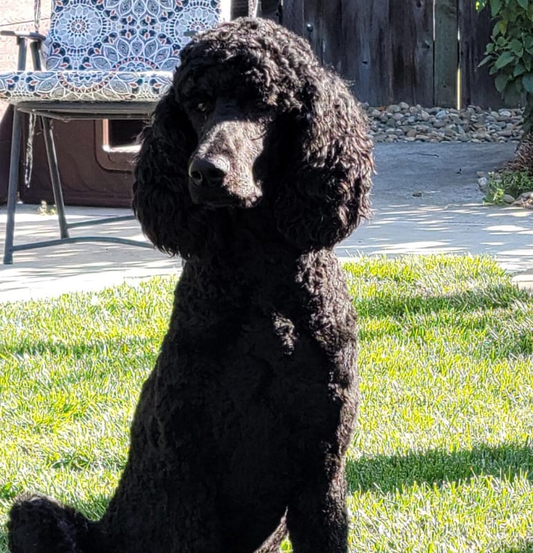 Building Photo - 1639 NE 9th St