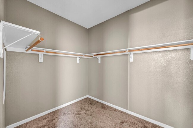 Building Photo - Sun-Filled, Spacious Living with a Three-Car Garage