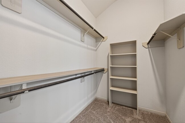 Building Photo - 5234 Jasmine Valley Ct