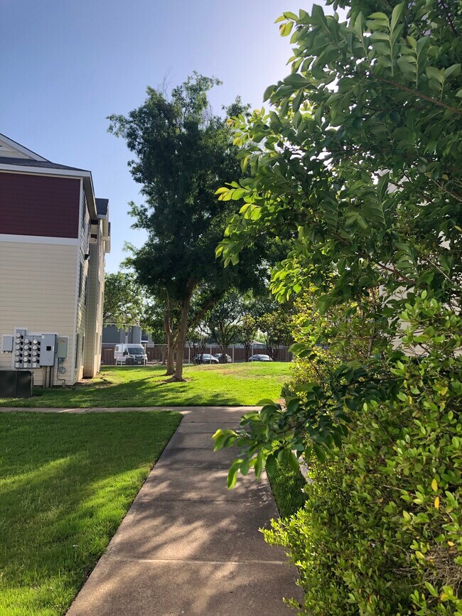 Outside sidewalks - 521 Southwest Pky