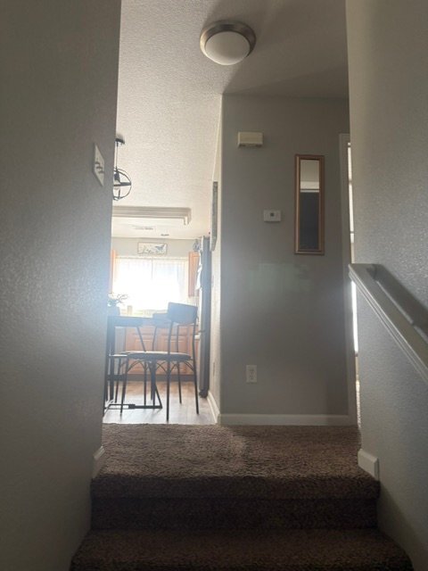Building Photo - 3600 Ponderosa Ct