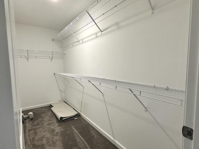 Building Photo - 3816 Briargate Ln