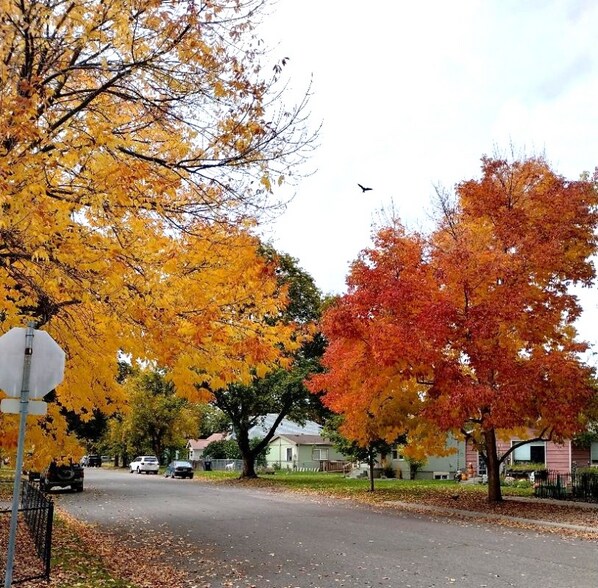 Building Photo - 1949 S 9th St W