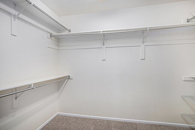 Building Photo - 4 bed/4 bath, Three Story Home Backing to ...
