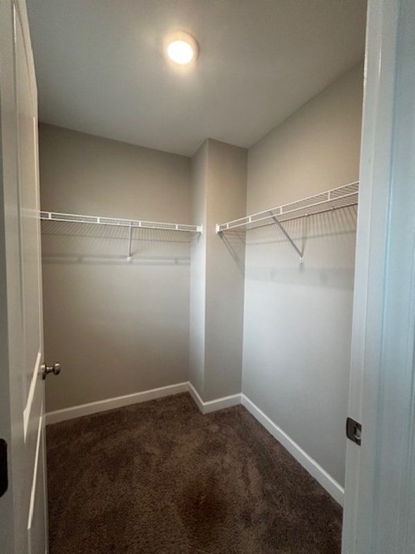 Building Photo - 321 Madison Park Dr