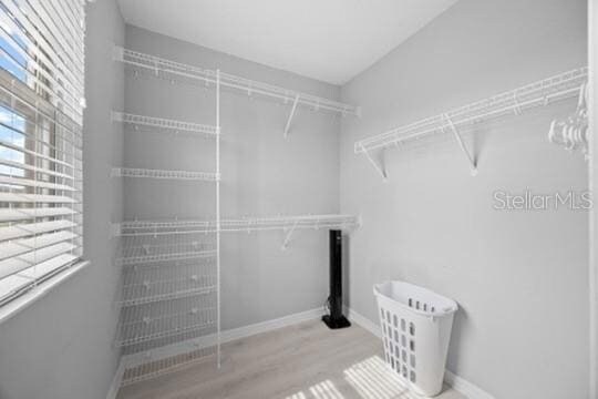 Building Photo - 242 Cedar Bark Ln