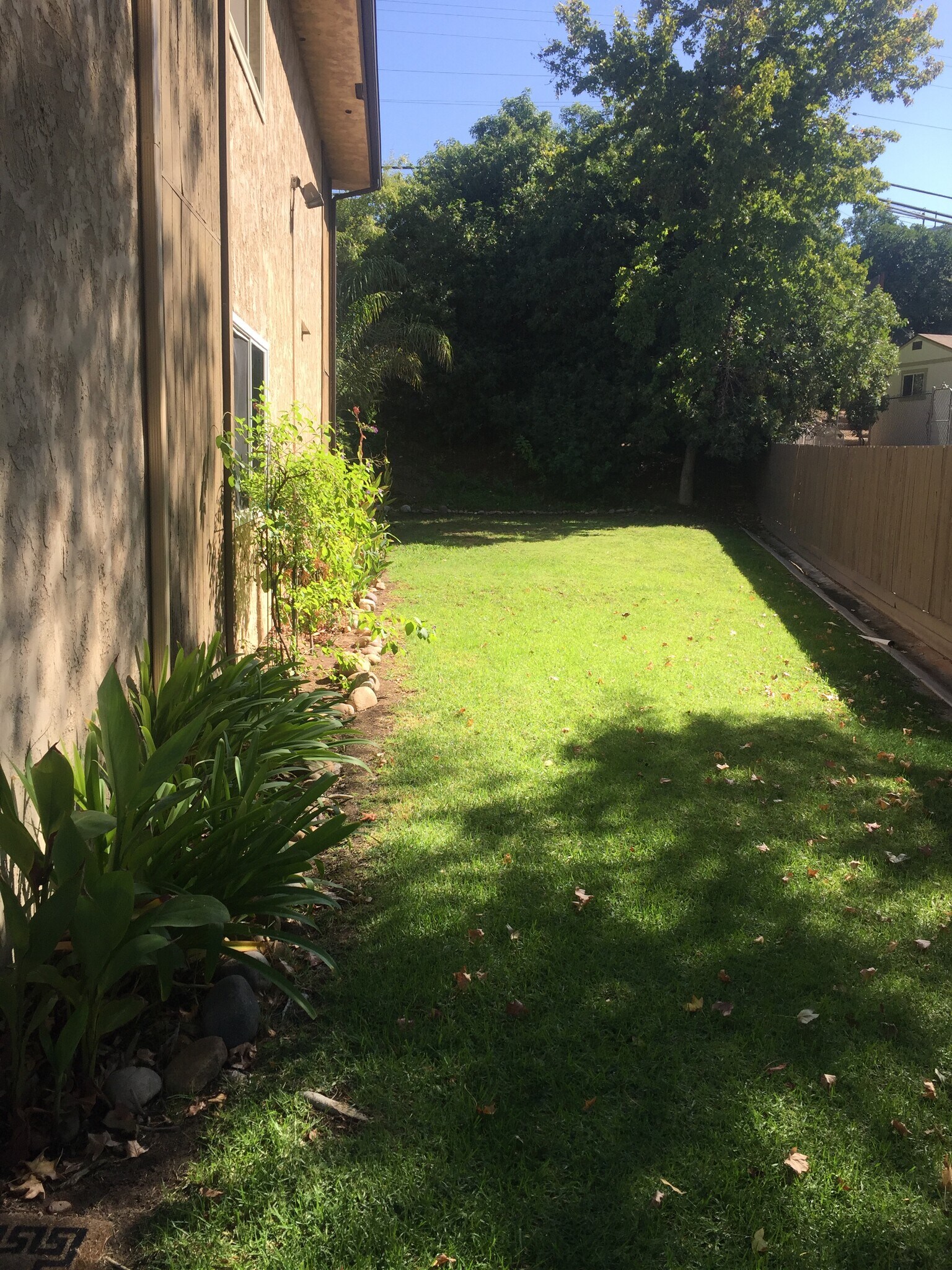 semi-private side yard; totally quiet. nobody uses it but this condo and its inhabitants! - 9175 Campina Dr