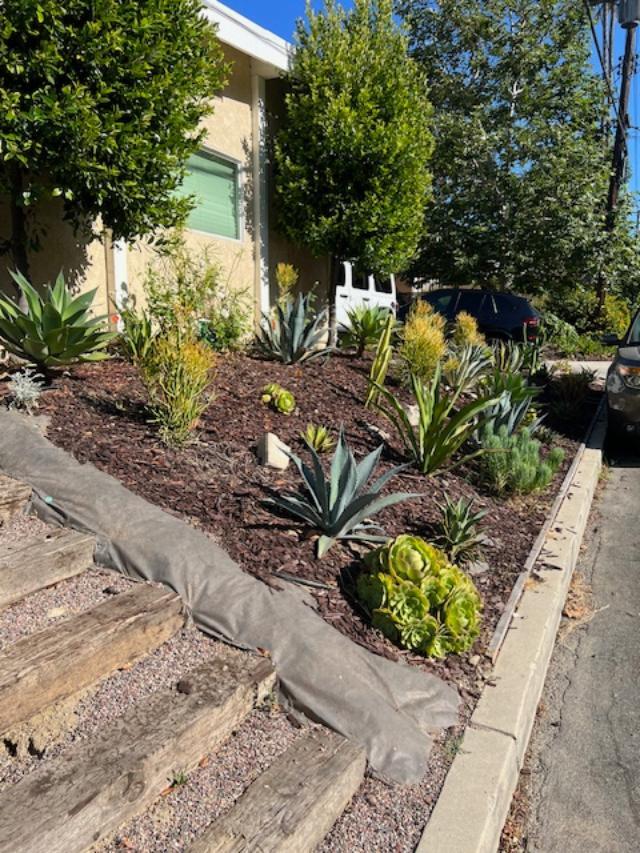 Water-friendly, native flora in front yard - 2812 Anchor Ave