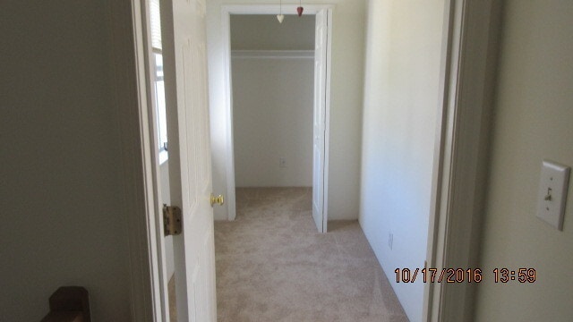 Building Photo - 113 Amelia Ct
