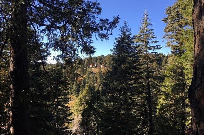 Building Photo - 31644 Christmas Tree Ln