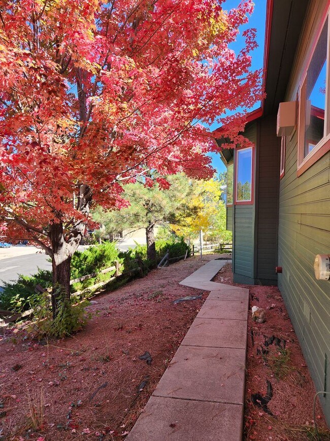 Building Photo - Available in JULY!  Large Single level Sin...