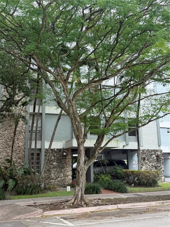Building Photo - 820 Salzedo St