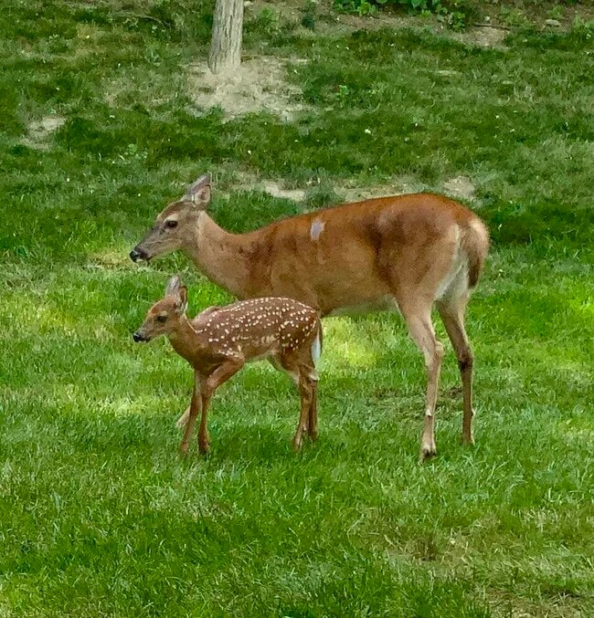 Building Photo - 2271 Edenderry Dr