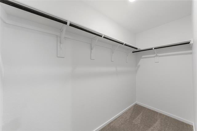 Building Photo - 1628 Baugh St