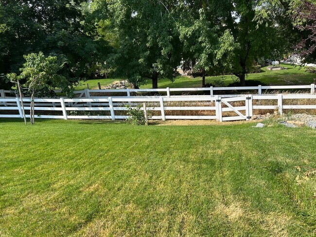 Building Photo - Don't miss out on this gorgeous and spacious basement apartment. It will go fast!!