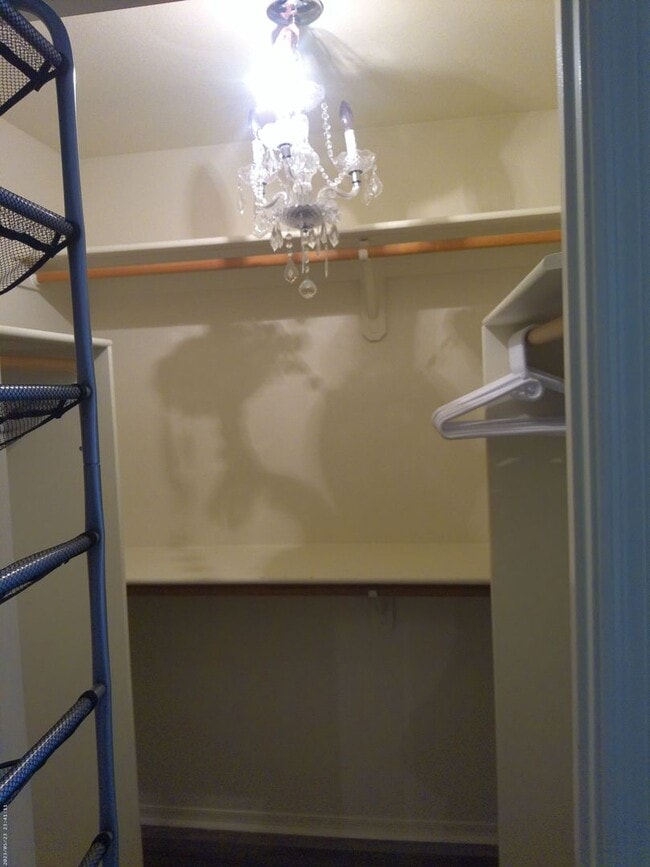 Building Photo - 1775 Bimini Ln
