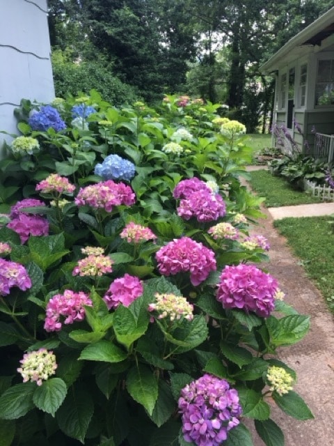 Building Photo - 560 Riceville Rd