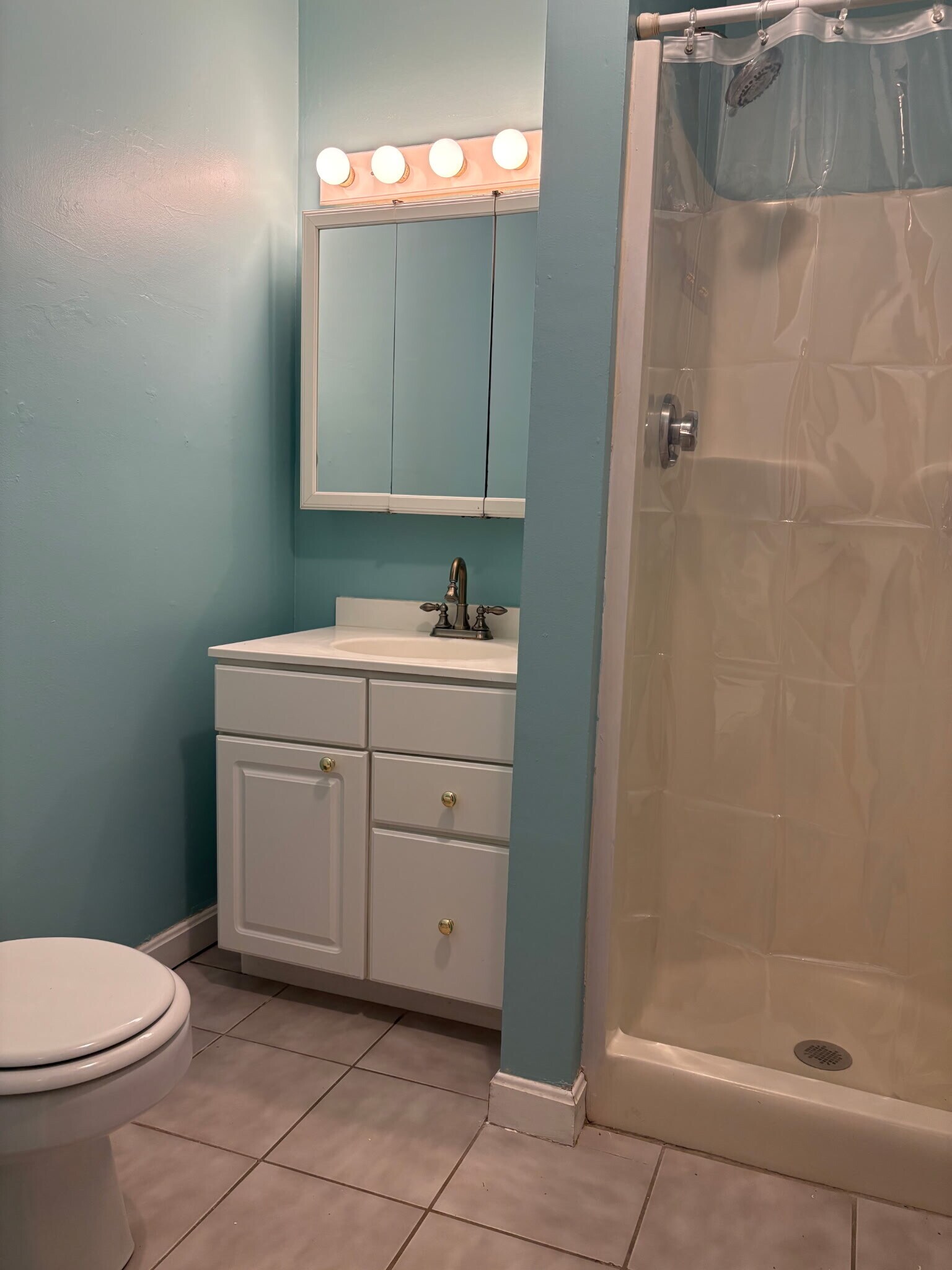 Building Photo - 246 Shaw St