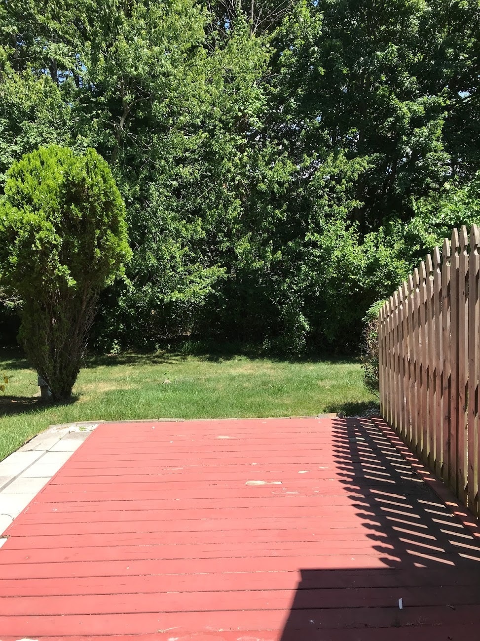 Patio - 1005 Hemlock Ct
