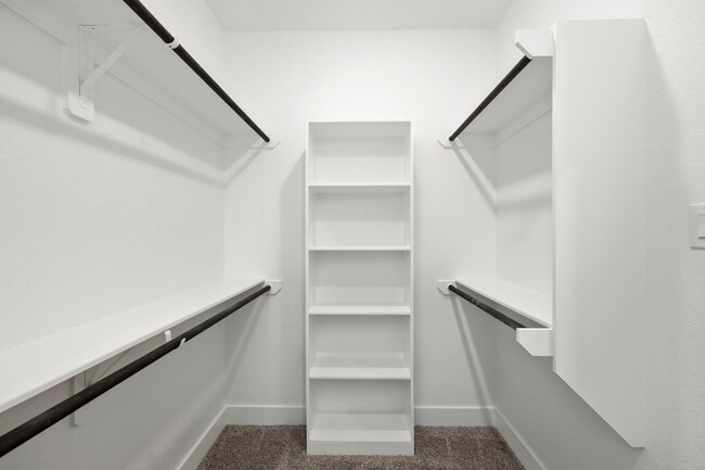 Building Photo - 7810 Starfish Arbor Dr