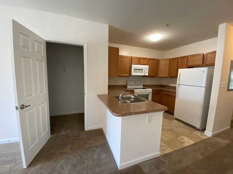 1 bedroom kitchen/walk in storage closet - Christina Apartments