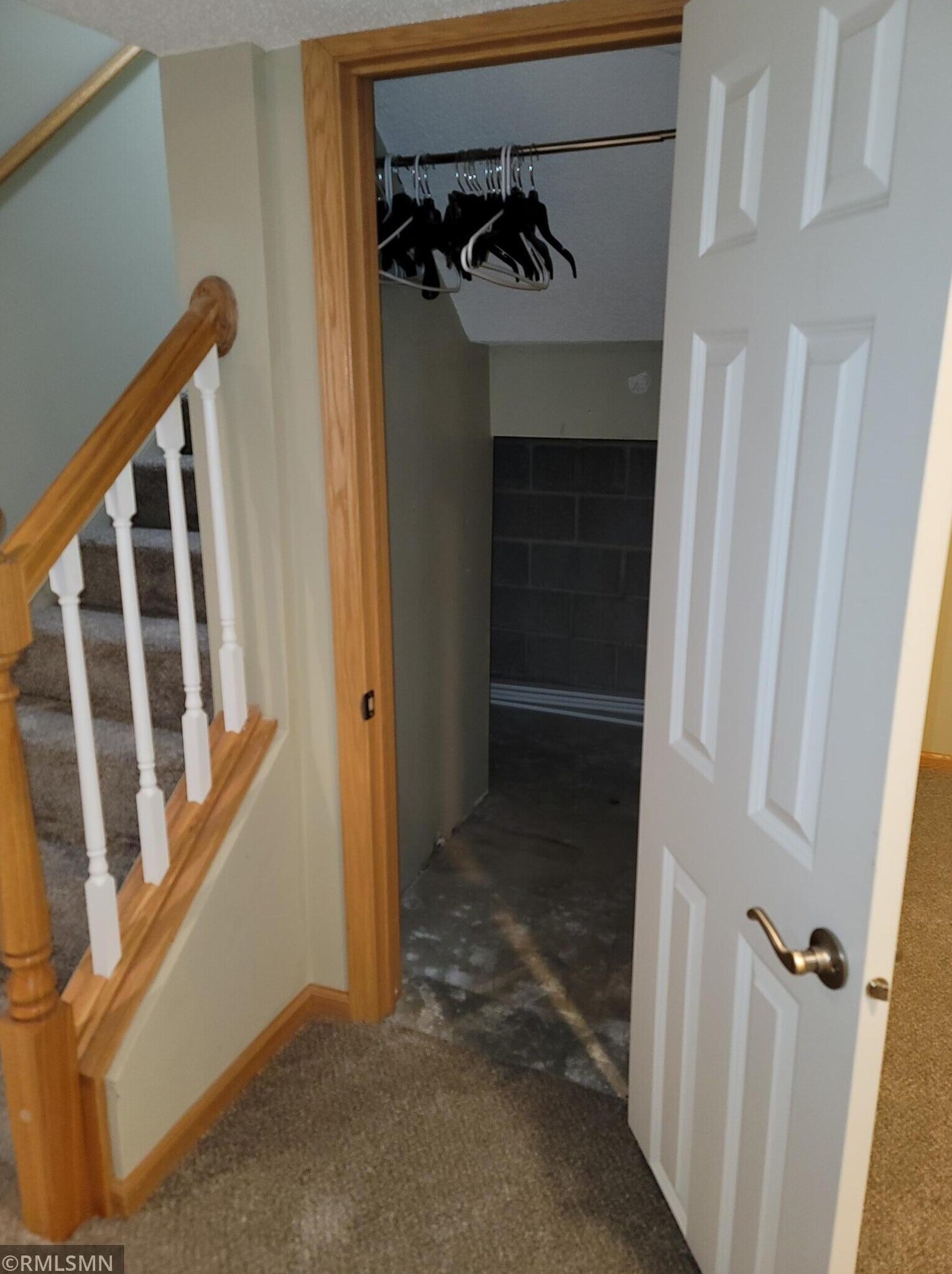Downstairs closet - 16134 Foliage Ave W