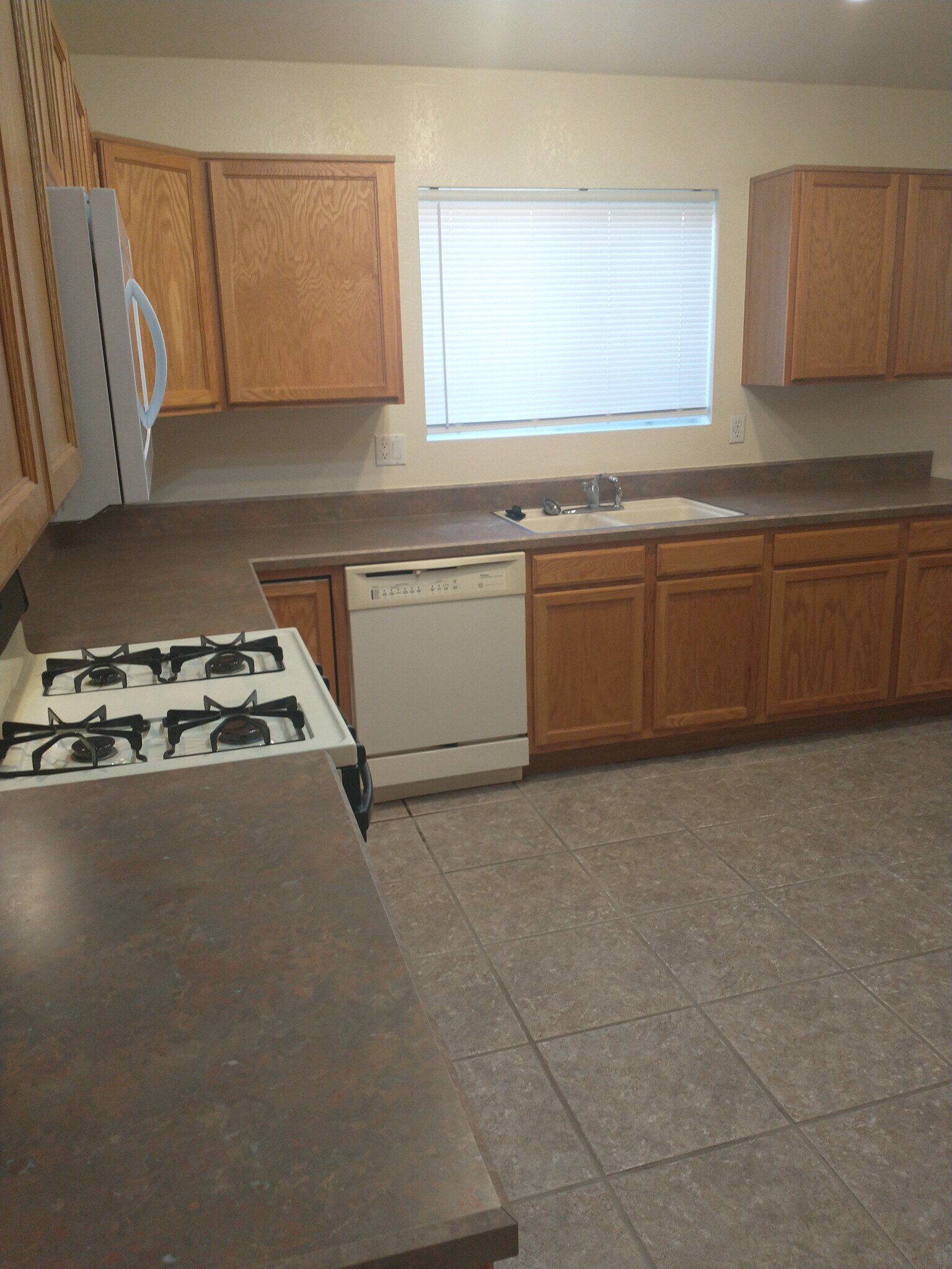 Building Photo - 3548 W Camino de Urania