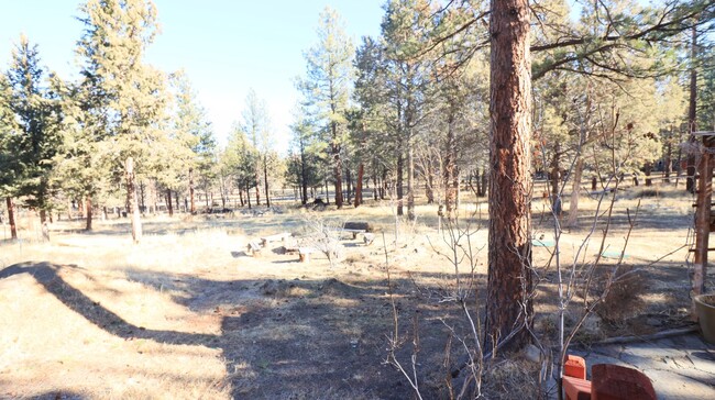 Building Photo - 5/3 Private Oasis outside of Bend