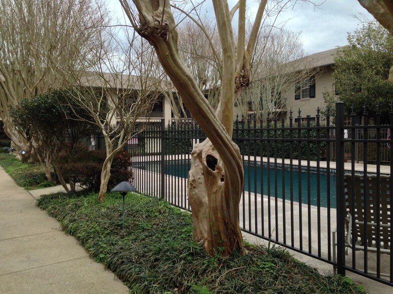 Building Photo - 213 Bendel Rd