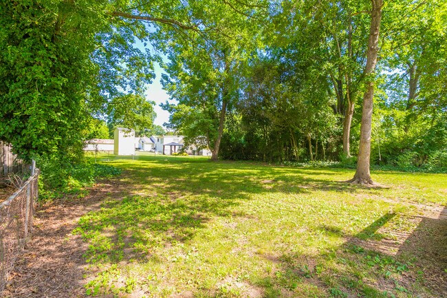 Backyard - 407 Somers Ave
